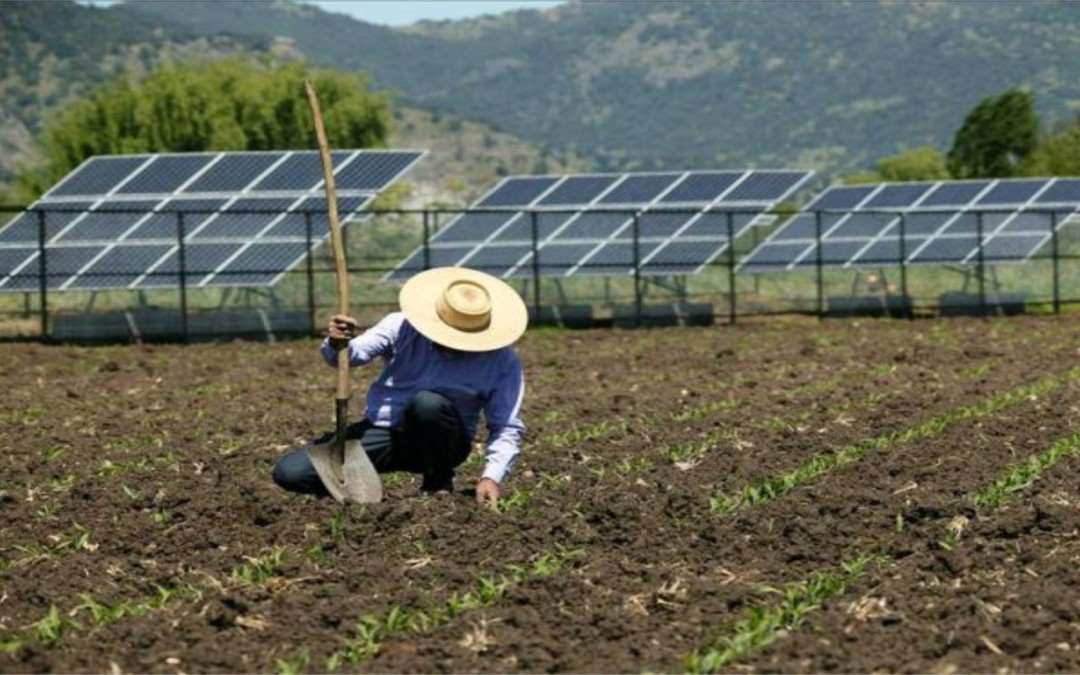 Energia solar rural: por que investir?